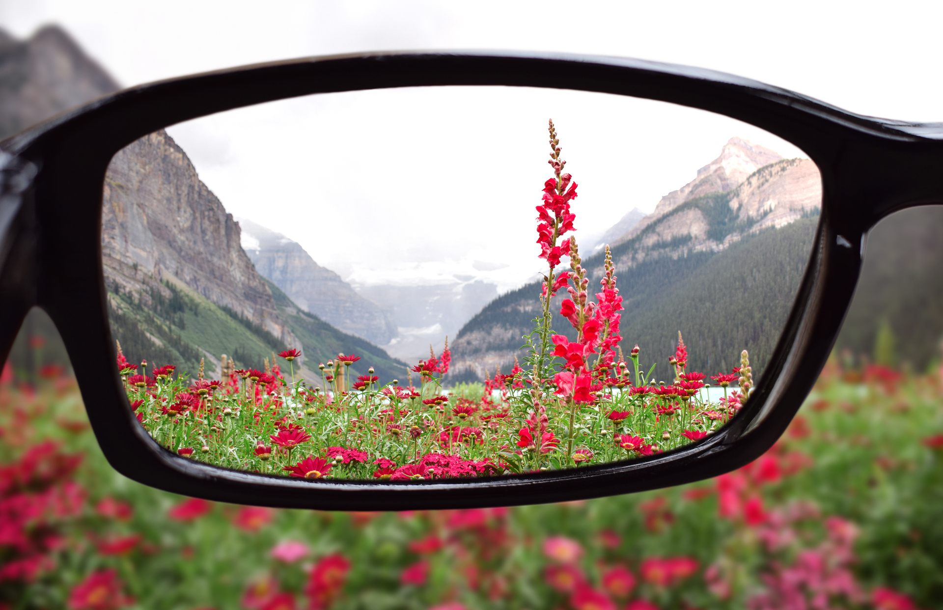 Montanhas e flores em alta definição vistas por lentes de grau — óculos novos todo ano para o colaborador e sua família