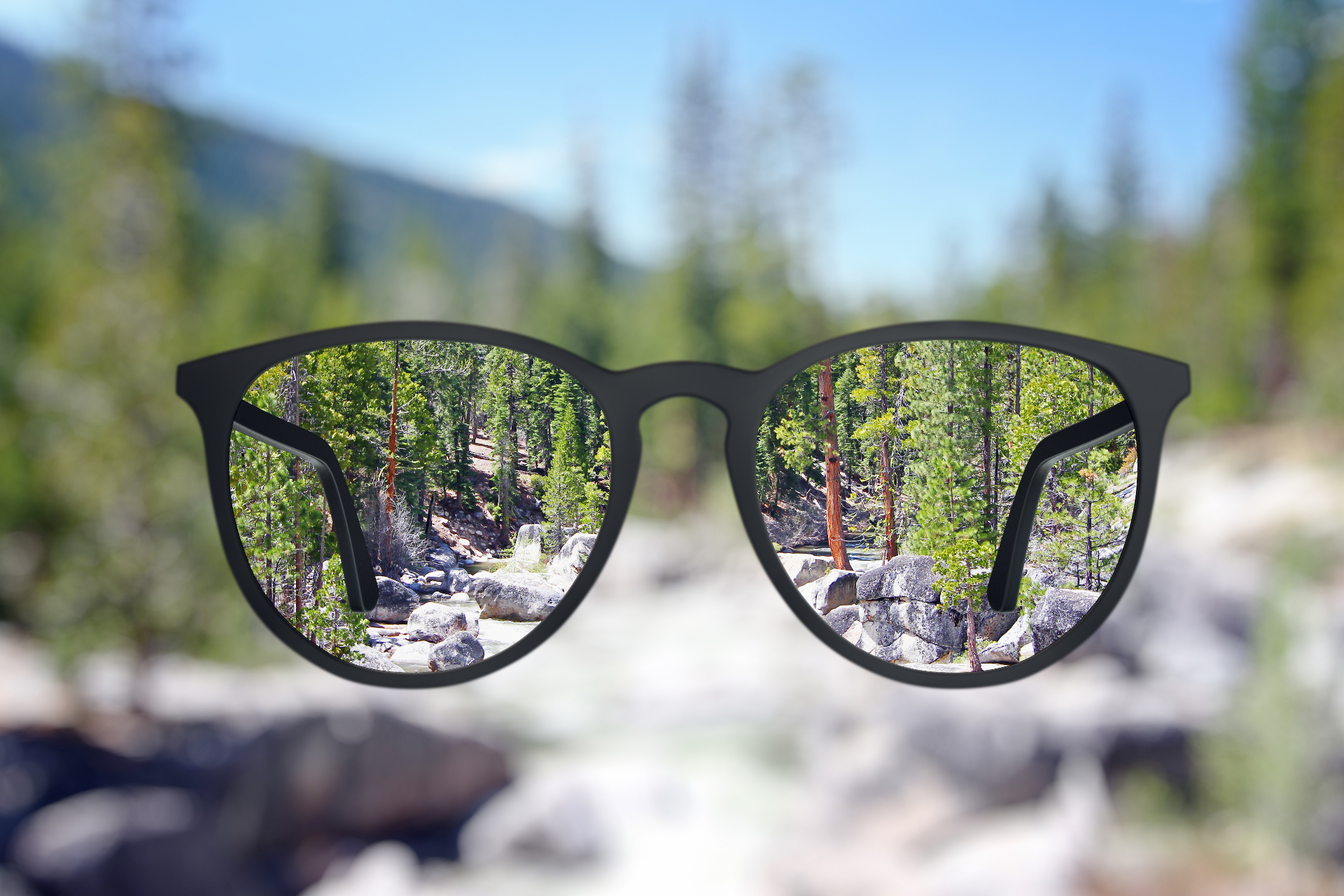 Floresta borrada ganhando foco através das lentes de um óculos — resultado real do exame Visão Fixa